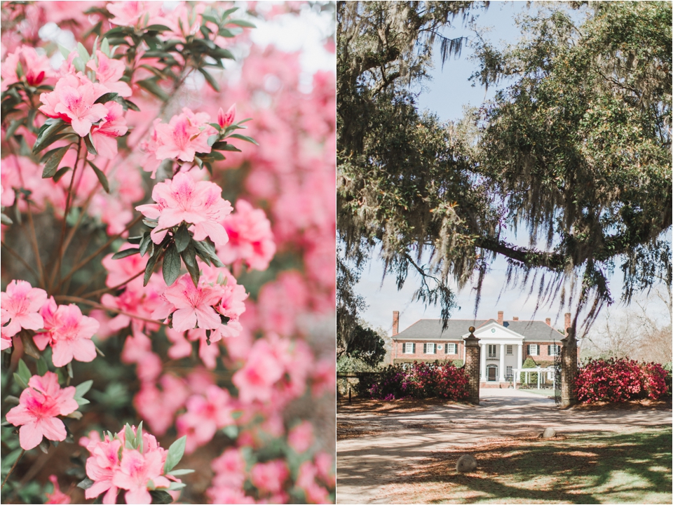 Charleston-Wedding-Photographer-Boone-Hall-Plantation-South-Carolina-Photography-Photo.jpg