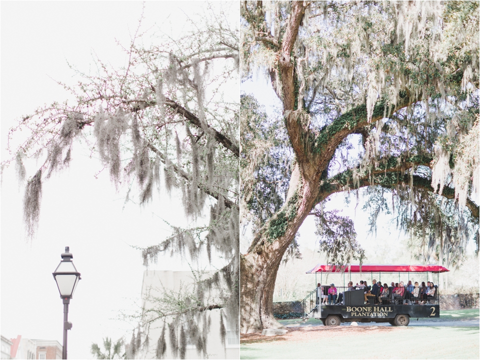 Charleston-Wedding-Photographer-Boone-Hall-Plantation-South-Carolina-Annamarie-Akins-Photography-Photo.jpg